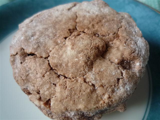 P1310508.JPG P1310508.JPG