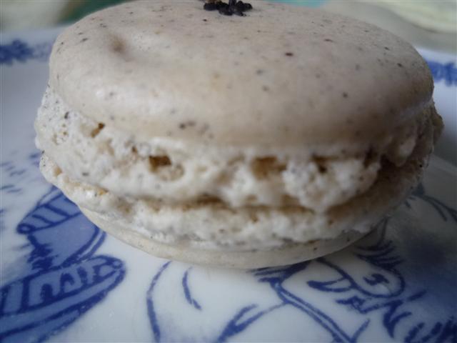 P1310502.JPG P1310502.JPG