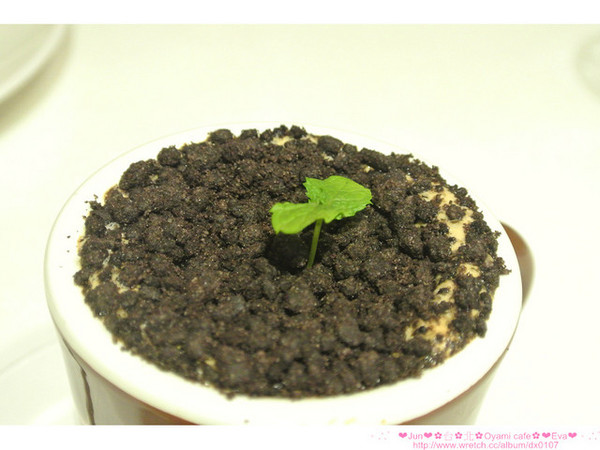 Oyami cafe：【食記】oO。。台北 西門町  Oyami cafe　超有鄉村田野風格的餐廳！而且～焗烤飯牽絲牽的好魂牽夢縈！！。o○。