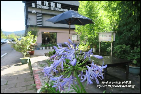 阿里山神木賓館 34.JPG