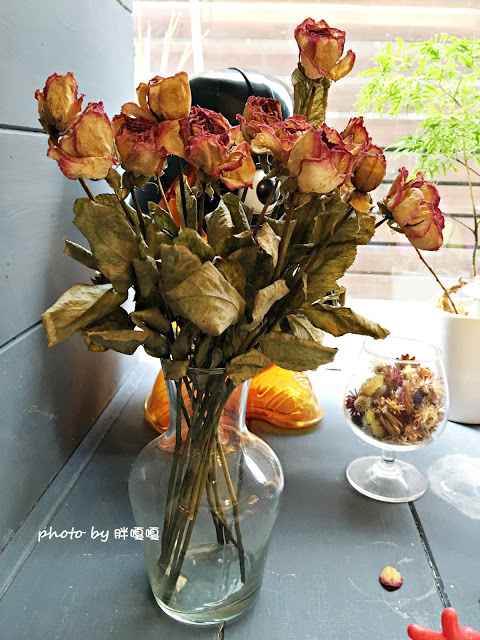 【台中 西區】Giocoso Café&Pasta→沒事亂闖,原來跑進了「被偷走的那五年」電影場景之一←寵物友善店,義大利麵還真不錯ya