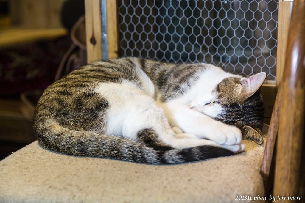 未命名 (75 - 76).JPG 未命名 (75 - 76).JPG