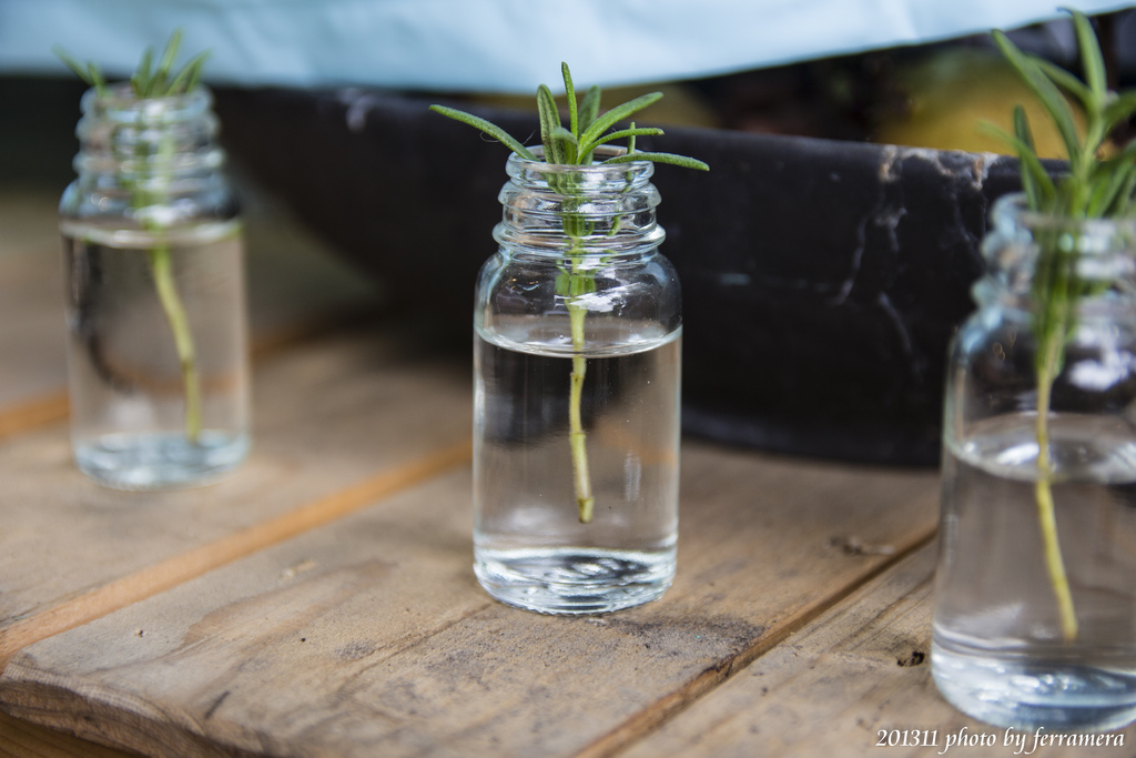 未命名 (72 - 76).JPG 未命名 (72 - 76).JPG