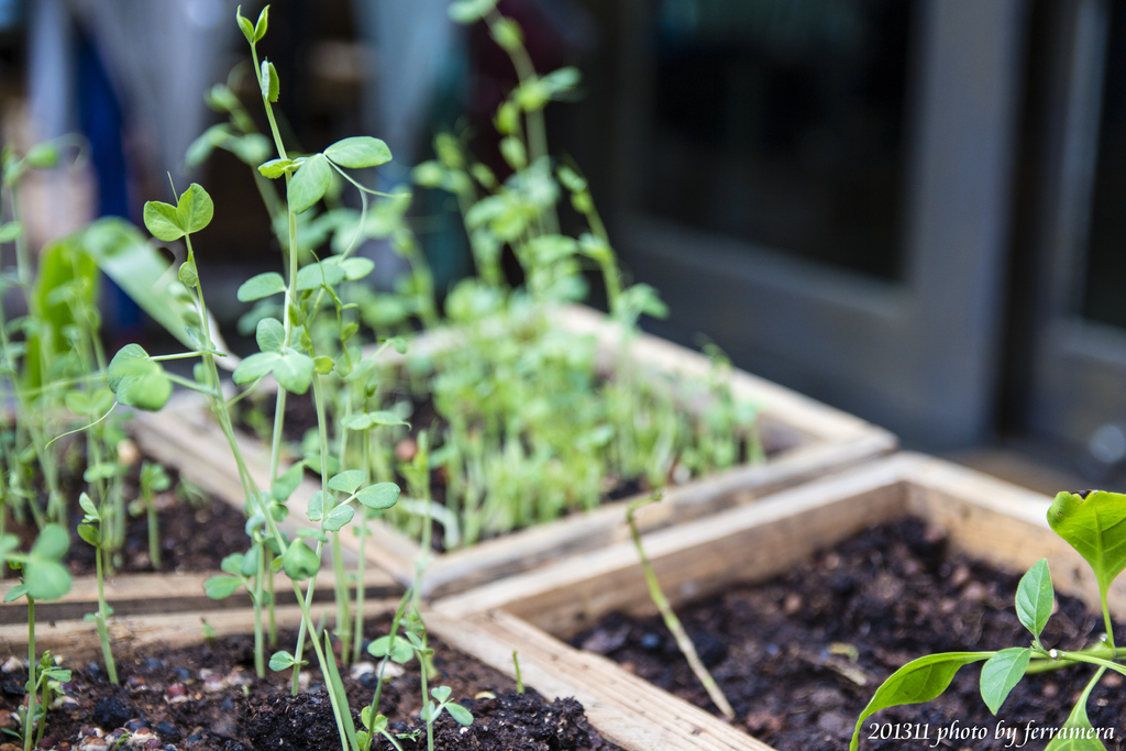 未命名 (66 - 76).JPG 未命名 (66 - 76).JPG