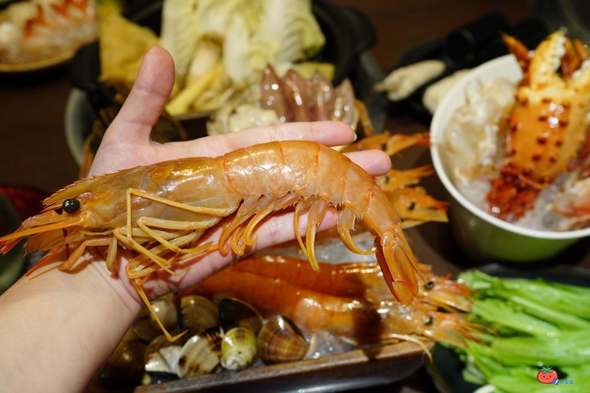 帝王蟹吃2隻就回本～手掌大天使蝦！50硬幣大干貝，品火鍋台北帝王蟹火鍋吃到飽推薦