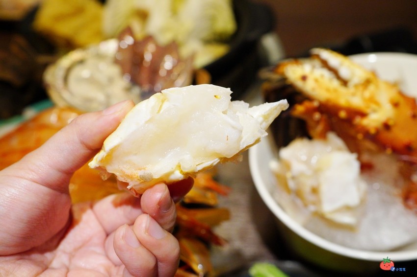 帝王蟹吃2隻就回本～手掌大天使蝦！50硬幣大干貝，品火鍋台北帝王蟹火鍋吃到飽推薦