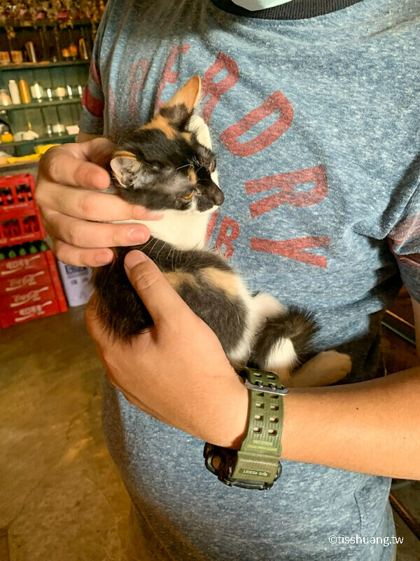 三芝海景無敵咖啡廳推薦，網美必拍景點，看夕陽的好去處!