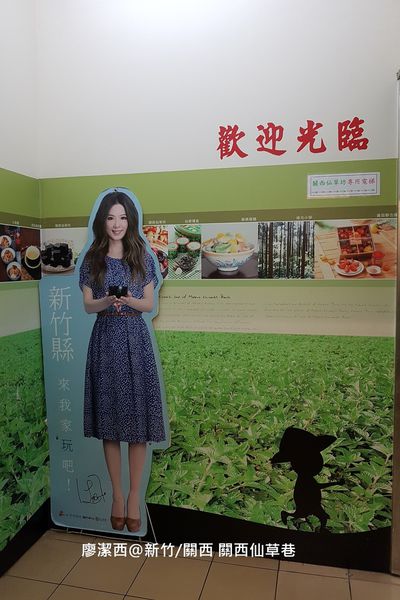 【新竹/關西】關西仙草巷 【新竹/關西】關西仙草巷