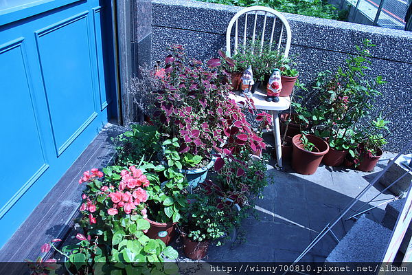 Hana(中壢店)： 桃園/中壢【下午茶朝聖名店！】Hana(中壢店)