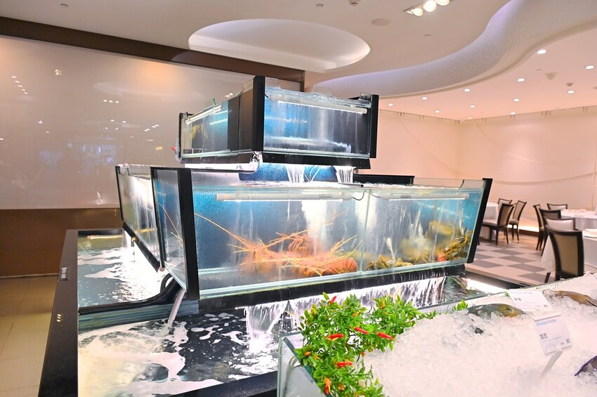 台中海鮮餐廳消費滿額送澎湃澳洲龍蝦海鮮鍋 澎湖新鮮直送海鮮網友好評推薦/阿利海鮮