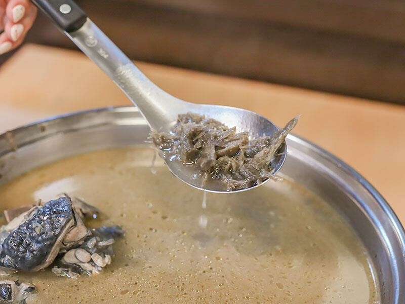 立冬進補首選，新竹薑母雞烏骨雞暖心又暖胃。