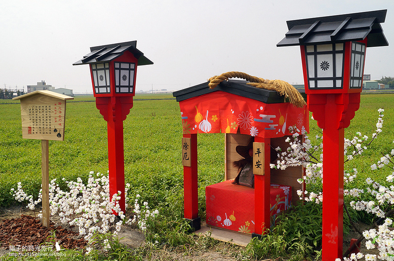 雲林縣莿桐鄉_2015莿桐花海戀戀雲林北海道