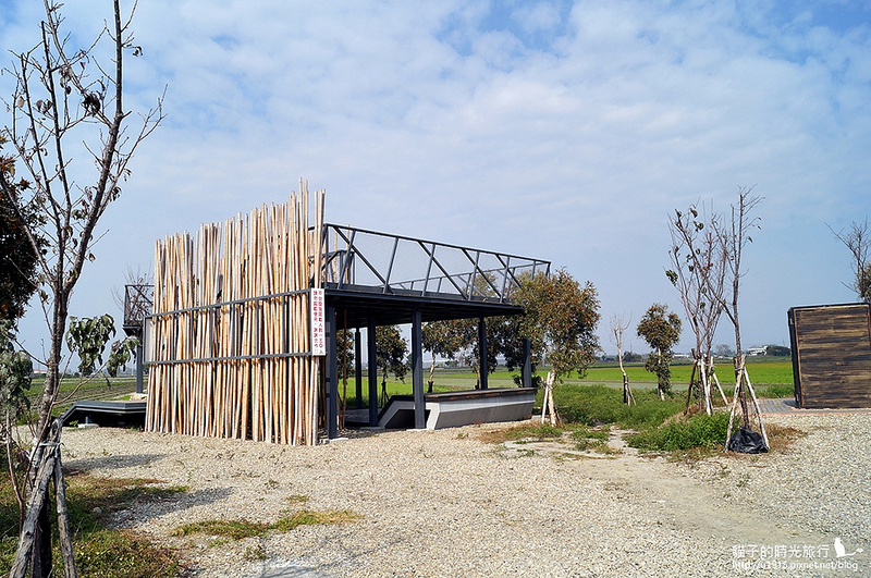 雲林縣莿桐鄉_2015莿桐花海戀戀雲林北海道
