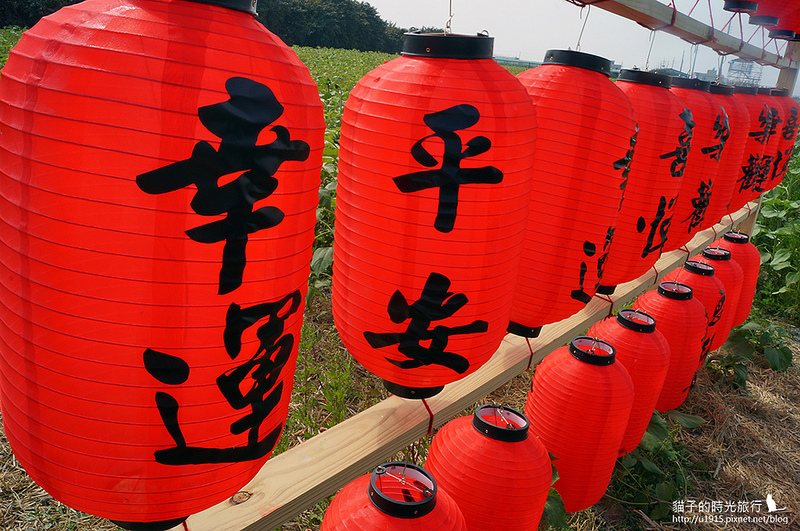 雲林縣莿桐鄉_2015莿桐花海戀戀雲林北海道