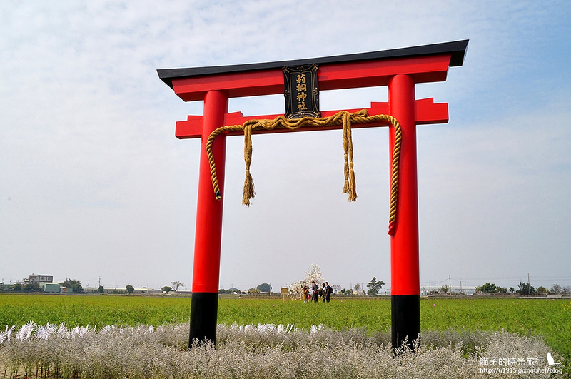 雲林縣莿桐鄉_2015莿桐花海戀戀雲林北海道