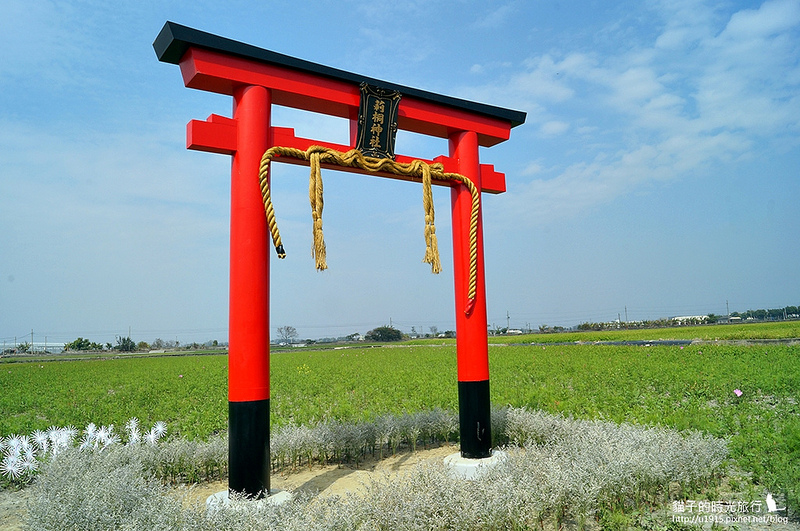 雲林縣莿桐鄉_2015莿桐花海戀戀雲林北海道