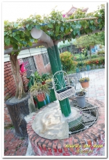 莿桐孩沙里花海：慢遊雲林．真正數大就是美──莿桐孩沙里花海