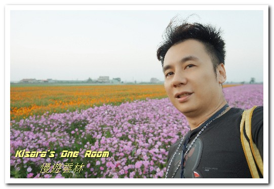 莿桐孩沙里花海：慢遊雲林．真正數大就是美──莿桐孩沙里花海