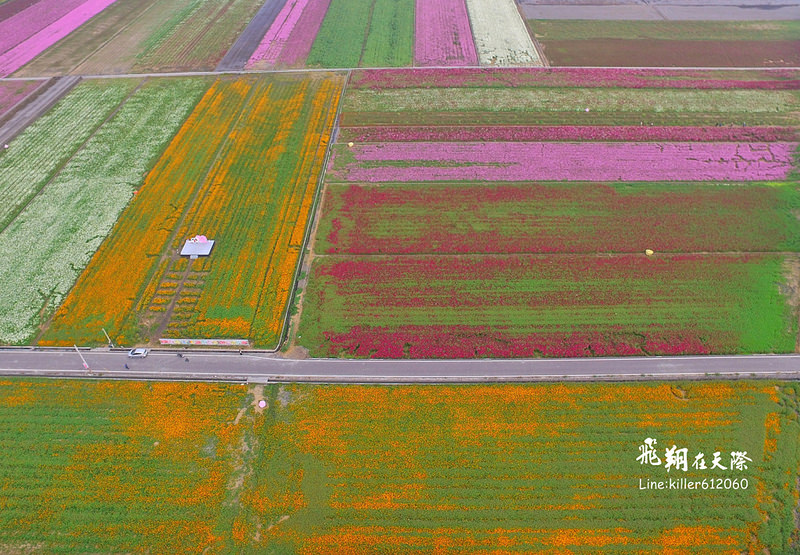 PhotoGrid_1484835459598