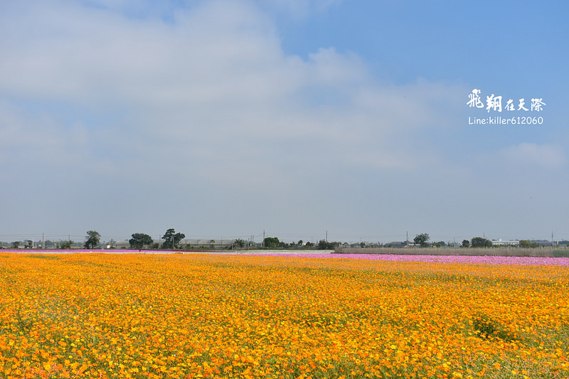 PhotoGrid_1484872292809