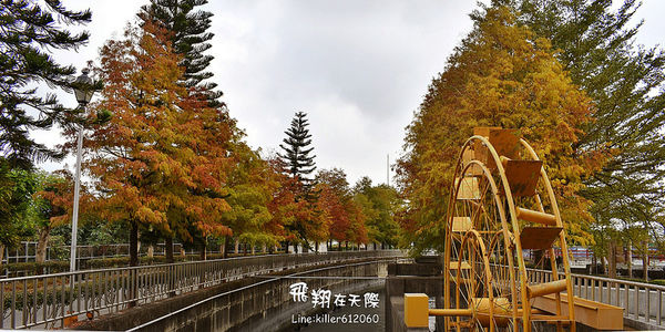 31921863726_cd2a8dffab_c