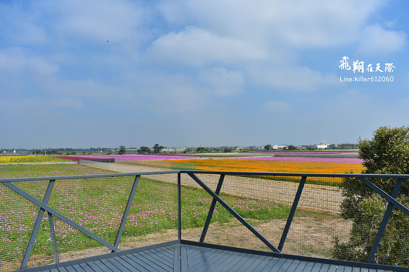 PhotoGrid_1484872223630