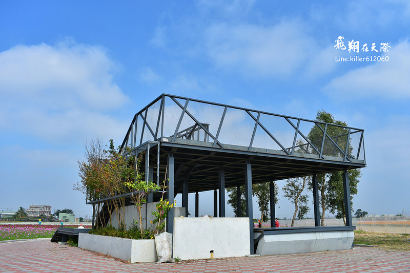 PhotoGrid_1484872245477