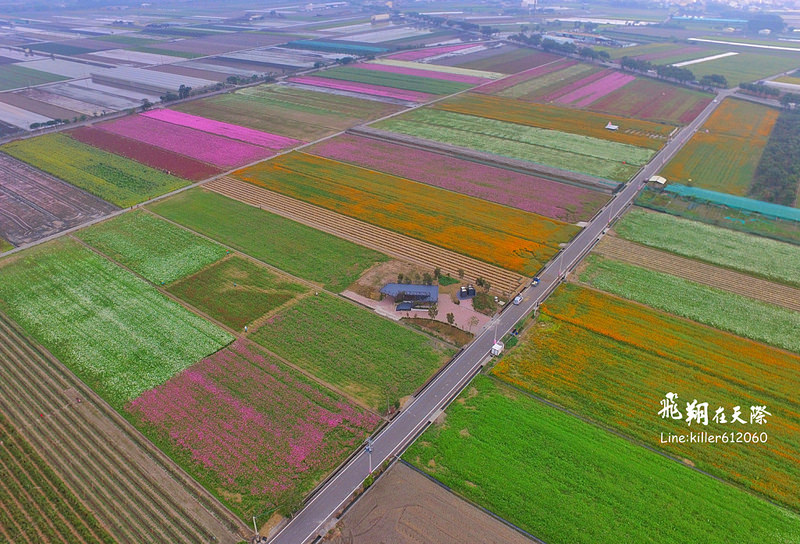 PhotoGrid_1484835528034