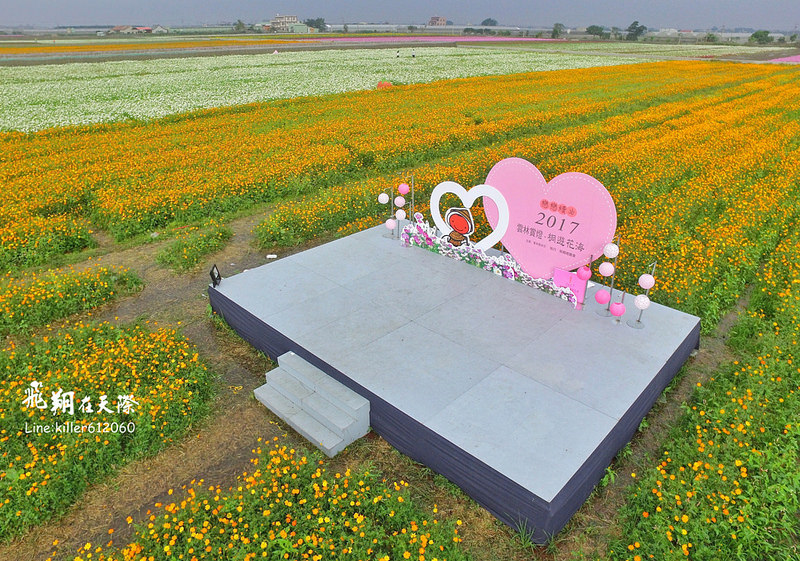 PhotoGrid_1484835694218