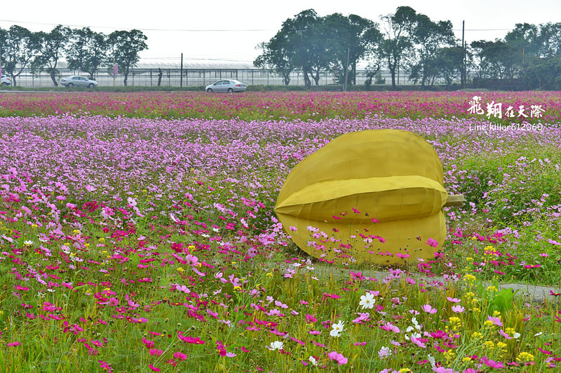 PhotoGrid_1484872081470