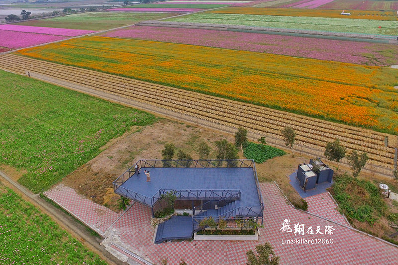 PhotoGrid_1484835488746