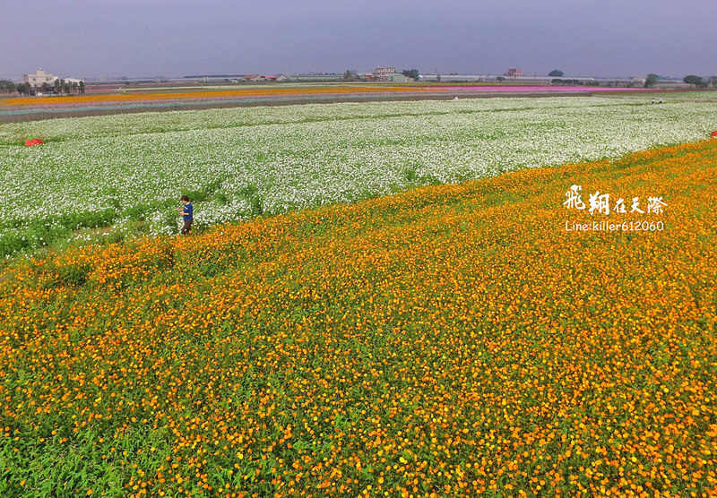 PhotoGrid_1484835737690