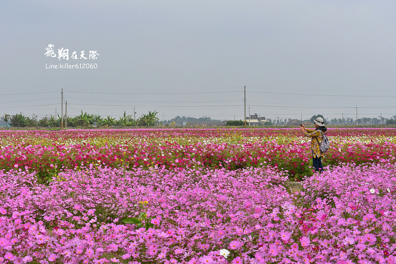 PhotoGrid_1484872142062