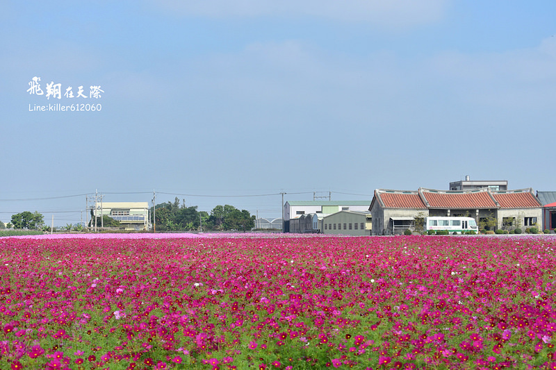 PhotoGrid_1484872265262