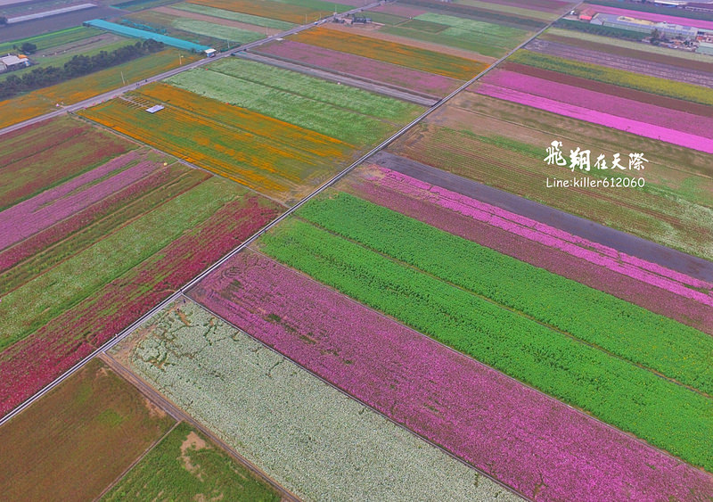 PhotoGrid_1484835853866