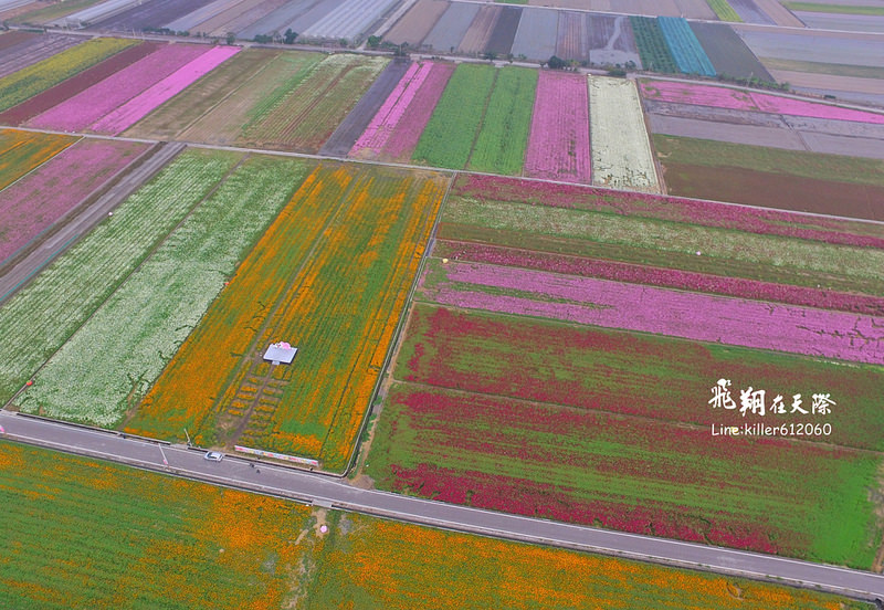 PhotoGrid_1484836018710