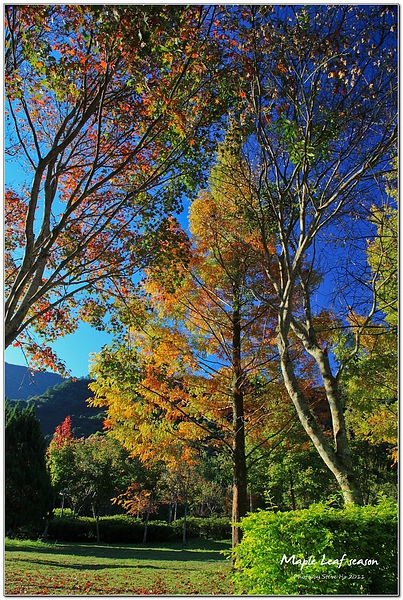 IMG_0246-1 IMG_0246-1