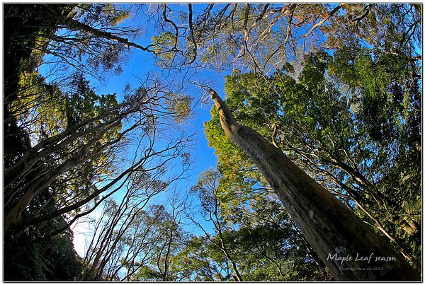 IMG_0342-1 IMG_0342-1