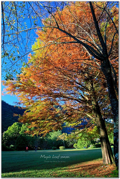 IMG_0219-1 IMG_0219-1