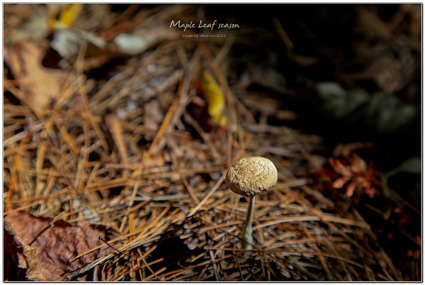 IMG_0566-1 IMG_0566-1