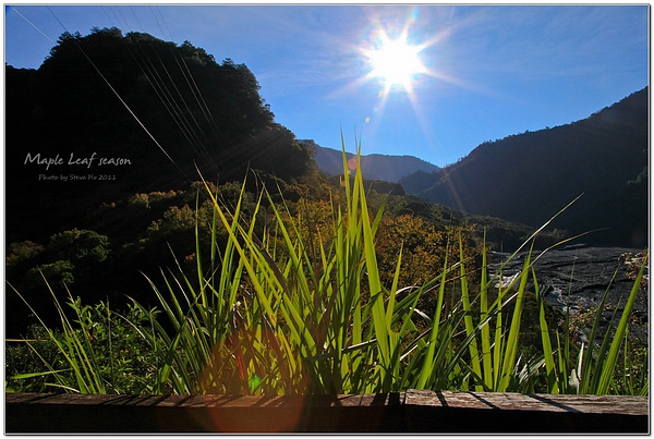 IMG_0309-1 IMG_0309-1