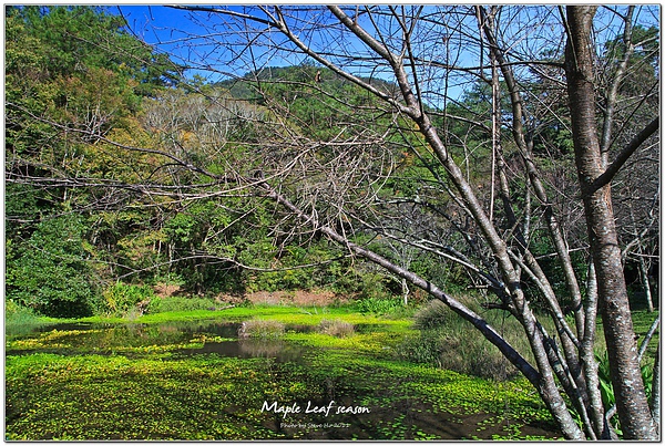 IMG_0646-1 IMG_0646-1