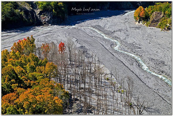 IMG_0535-1 IMG_0535-1