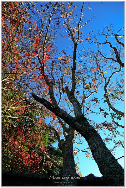 IMG_0203-1 IMG_0203-1