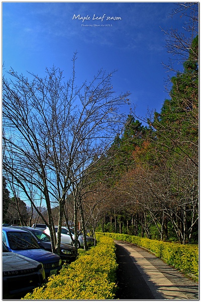 IMG_0654_cr-1 IMG_0654_cr-1