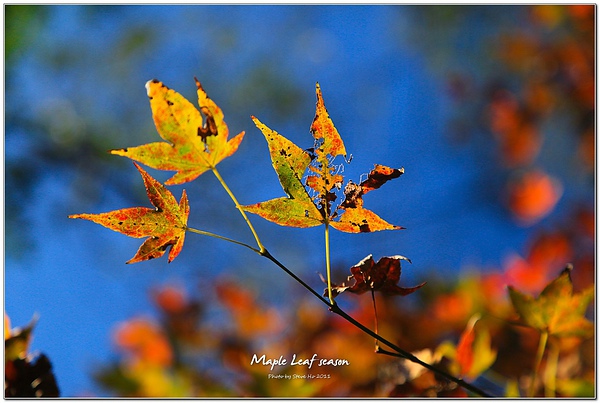 IMG_0475-1 IMG_0475-1