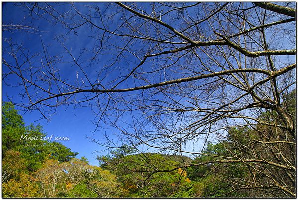 IMG_0649-1 IMG_0649-1