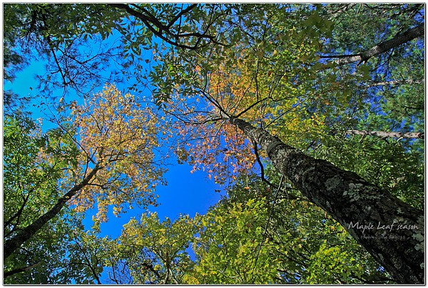 IMG_0380-1 IMG_0380-1