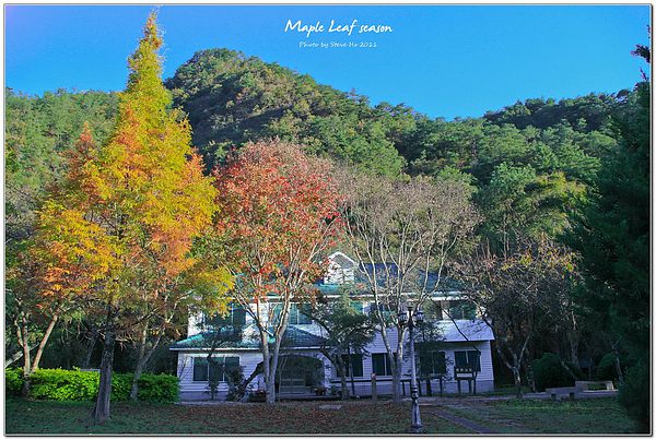 IMG_0177-1 IMG_0177-1