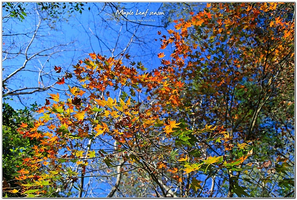 IMG_0474-1 IMG_0474-1